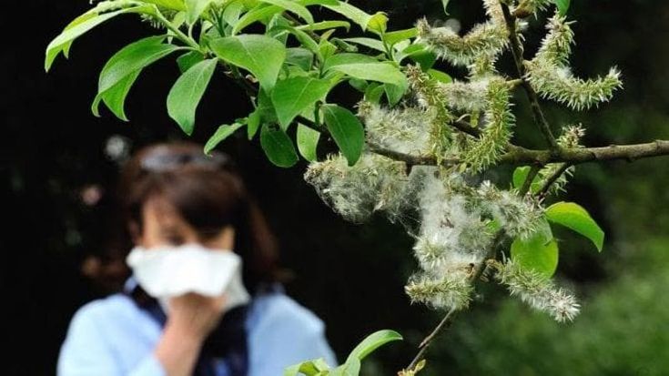 L’allerta dell’allergologo per l’erba alta a Roma: “Col caldo ci sono già nell’aria i pollini di maggio”