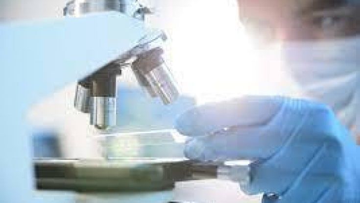 Maga (Cnr): "Cari no-vax, solo la ricerca ci salverà. Dal Covid come dal cancro"