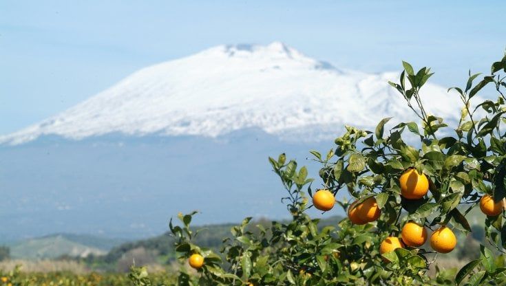 La fertile terra dell'Etna e i suoi (saporiti) gioielli 