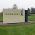 Bayer valuta l'acquisto della Monsanto