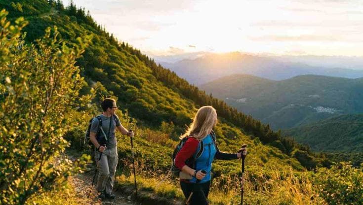 10 piante velenose da non toccare nei tuoi trekking in montagna
