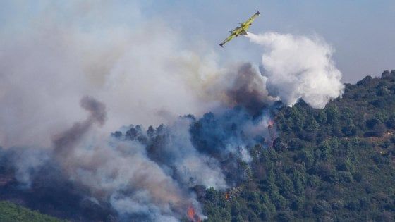Pisa, incendio sul Monte Serra. Settecento persone evacuate tra Calci e Vico. La Regione: "Sì allo stato d'emergenza"