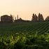 Castiglion del Bosco, tutta la natura a 5 stelle