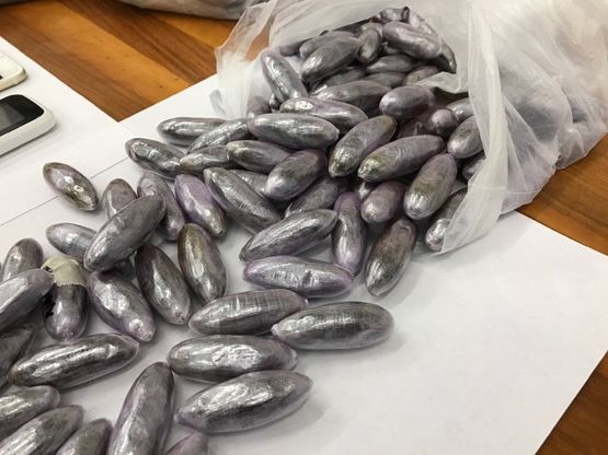 Droga Parma, sequestro di hashish dei carabinieri - Foto
