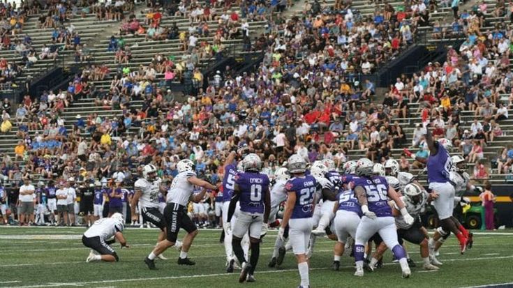 I Panthers sorprendono i Guelfi e conquistano lo scudetto nella finale Ifl giocata in America