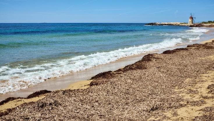 Sardegna, la sabbia torna alle spiagge grazie alla posidonia recuperata e trattata