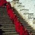 Nel regno dell'armonia