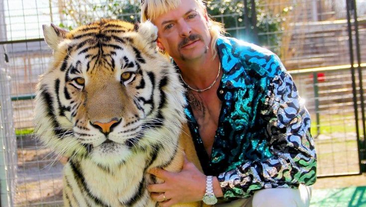 "Non curano gli animali", sequestrati 68 felini della coppia di "Tiger King"