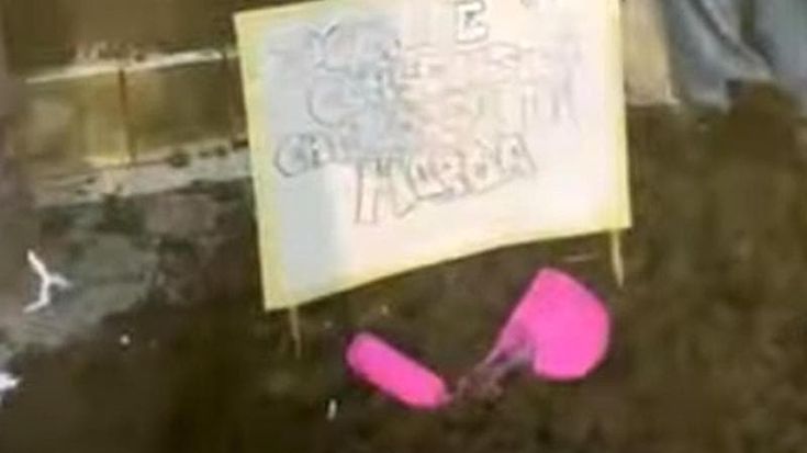 Stupro, muro contro muro sulla proposta Bongiorno