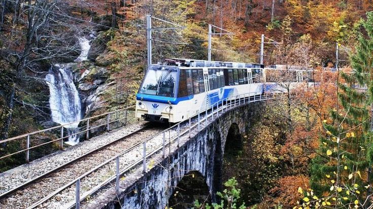Treno del Foliage: dal 10 ottobre torna il percorso autunnale tra Italia e Svizzera