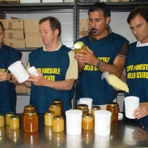 Pappa reale e propoli dalla Cina venduti come prodotto biologico italiano