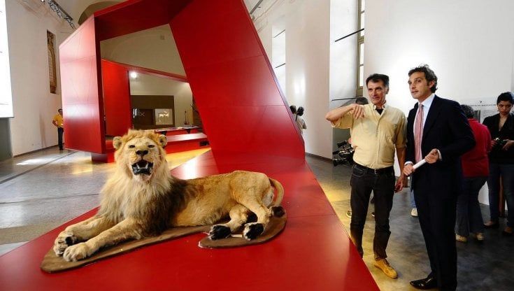 Il Museo di scienze naturali di Torino riaprirà. Ma non si sa quando