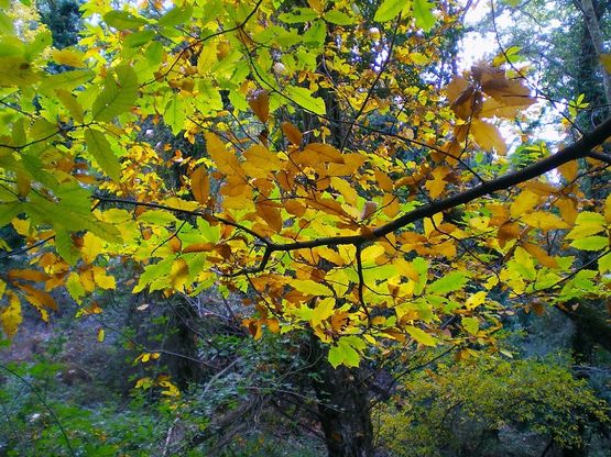 L'autunno in Sicilia "secondo natura"