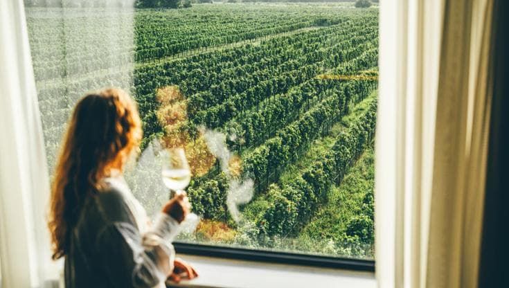 L’enoturista cerca la sostenibilità