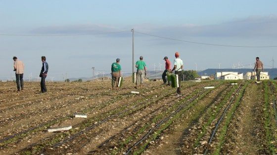 La Lega contro la legge sul caporalato. La Cgil: "Il vero business dell'immigrazione è proprio quello"