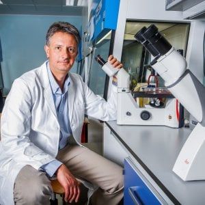 Il tumore resiste alle terapie come i batteri agli antibiotici 