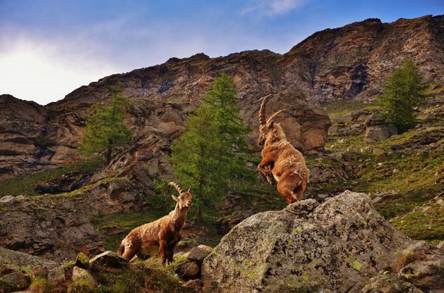 Obiettivo Terra: torna il contest fotografico per raccontare la natura 