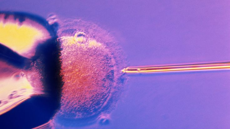 Il taglia e cuci sugli embrioni