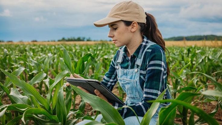 Agroalimentare, mancano lavoratori specializzati e giovani imprenditori: a rischio innovazione e competitività
