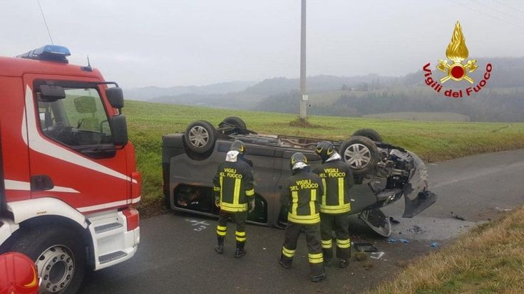 Bologna, daino attraversa e mini-scuolabus si ribalta: sei bimbi in ospedale