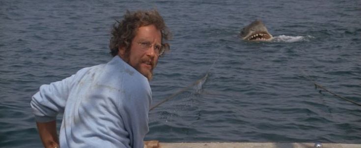 'Lo squalo', watch party per i 45 anni: il film di Spielberg invecchia ma fa sempre paura