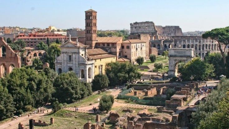 Palatinum, sapore da antica Roma: ecco l'olio extravergine prodotto nel parco del Colosseo. E ora si aspetta il vino 