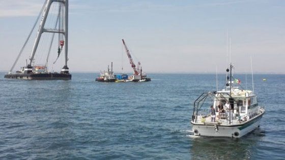 Emergenza rifiuti in Adriatico: "L'acqua sa di plastica, e anche il pesce che mangiamo"