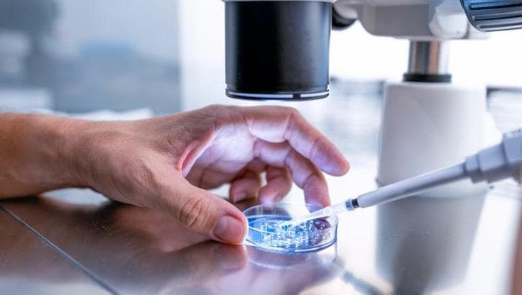 Tumori del sangue, oltre 200mila esami con LabNet: la rete che avvicina le cure ai pazienti