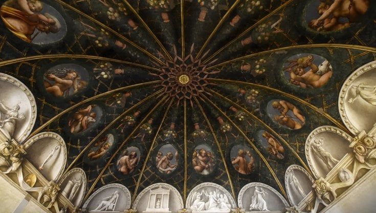 Musei Civici: il programma del fine settimana a Parma 