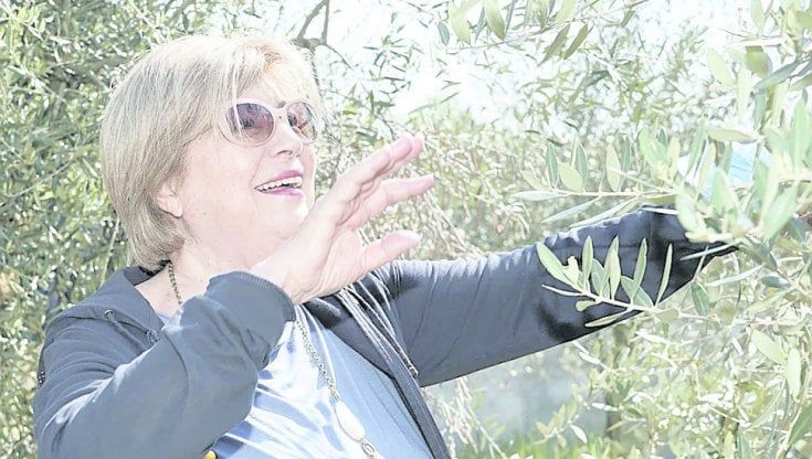 Anita Casamento, la sommelier dell’olio che ascolta gli ulivi