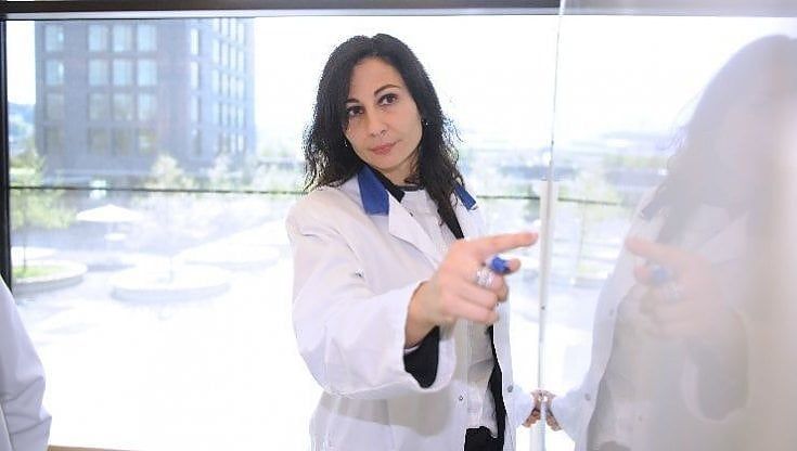 Syngenta si allea a Insilico nella ricerca: "Così l'intelligenza artificiale aiuterà l'agricoltura"
