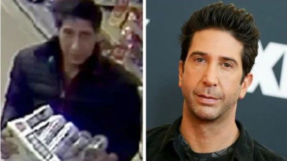 Gb, la polizia cerca un ladro che sembra il Ross di Friends