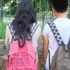 Riprendono i corsi anti bullismo alla scuola Fava Gioia di Napoli. Arcigay : 