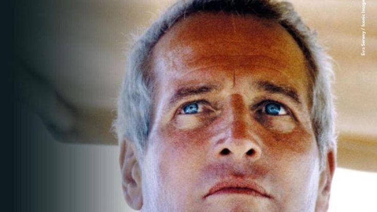 Torino Film Festival, è Paul Newman il volto dell’edizione 2025