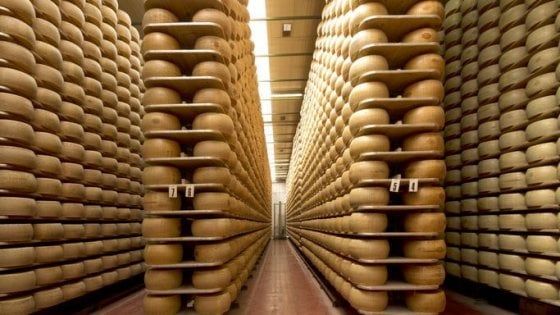 La filiera lattiero-casearia, asset strategico del made in Italy