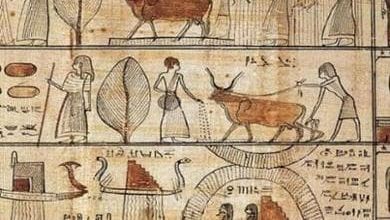 La grande avventura delle biblioteche nell'Antico Egitto