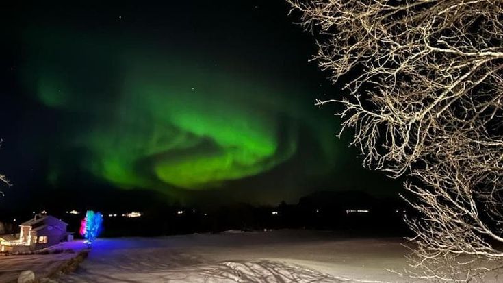L’aurora (bo)reale
