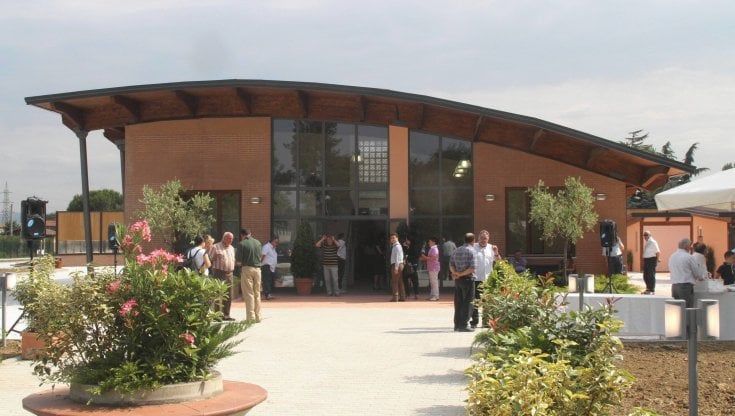 Sala operatoria low cost per i cani che hanno padroni con redditi bassi