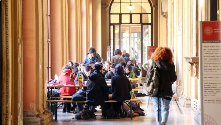 Bari, l'83% dei laureati in discipline umanistiche trova lavoro entro 5 anni: dato migliore rispetto alla media Ocse