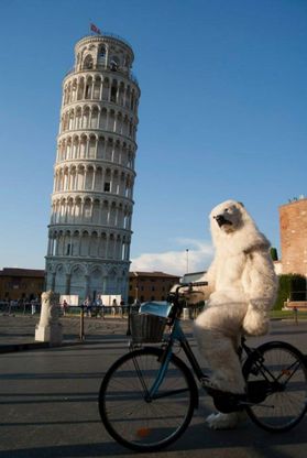 L'Orso di Greenpeace sotto la Torre di Pisa