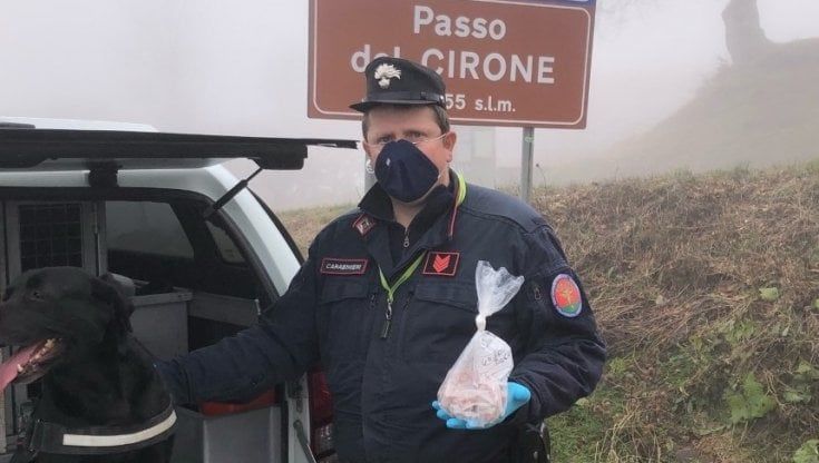 Passo del Cirone, trovati bocconi avvelenati