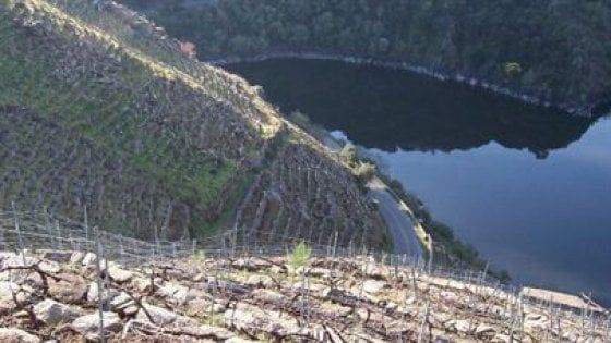 Vino e fatica: quando la viticultura è "eroica"
