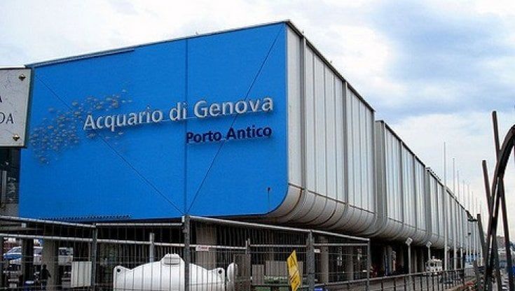 Nuovo Dpcm, la resa delle palestre. Sull'Acquario decide la prefetta