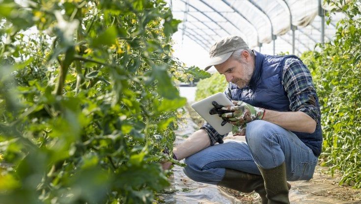 Dall'inflazione alla siccità, gli effetti della "Poli-crisi" sulle aziende del food&beverage
