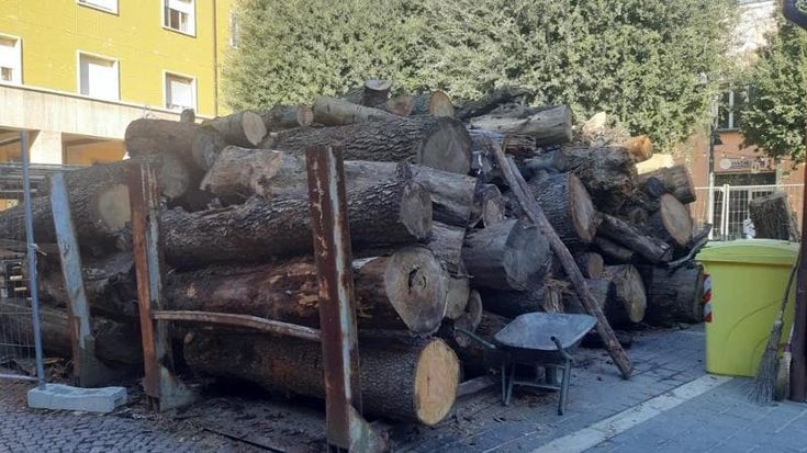 Modigliana, la legna dell’alluvione per il falò delle feste: “Ma non lasciateci soli”