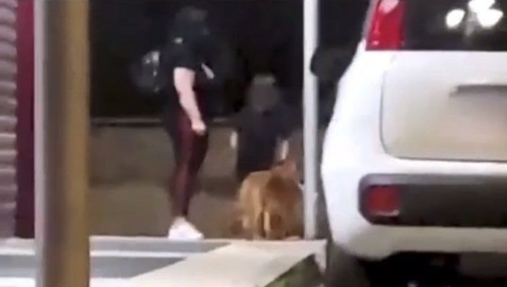 Foggia, abbandona il cane legato a un palo davanti al figlio in lacrime: denunciata