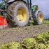 Legge sull'agricoltura biologica: primo sì alla Camera