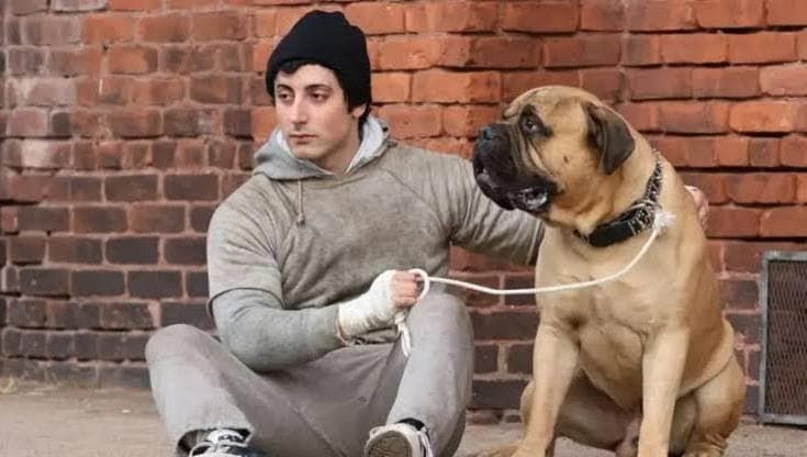 Kasia Smutniak e il giovane Rocky alla Festa di Roma. Il programma del 19 ottobre