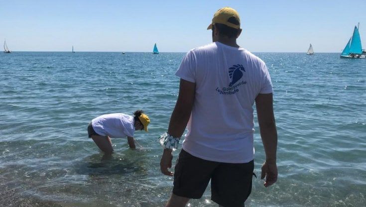 Maratea, scarichi abusivi all'origine dell'inquinamento alla foce del torrente Fiumicello 