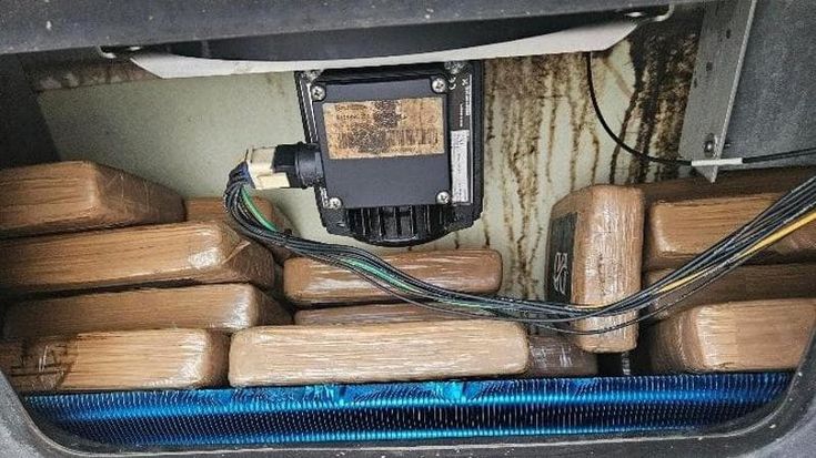 Livorno, sequestrati 53 chili di cocaina in porto: erano nascosti in un container di frutta